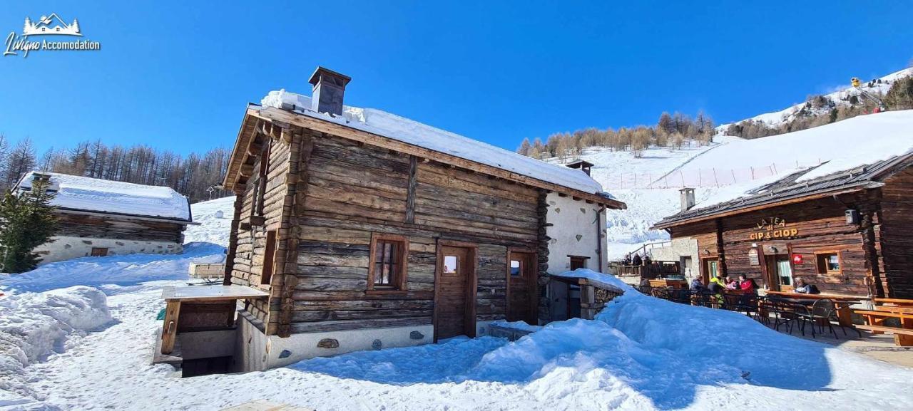 Mountain Chalet Scoiattolo By Livigno Accomodation Extérieur photo