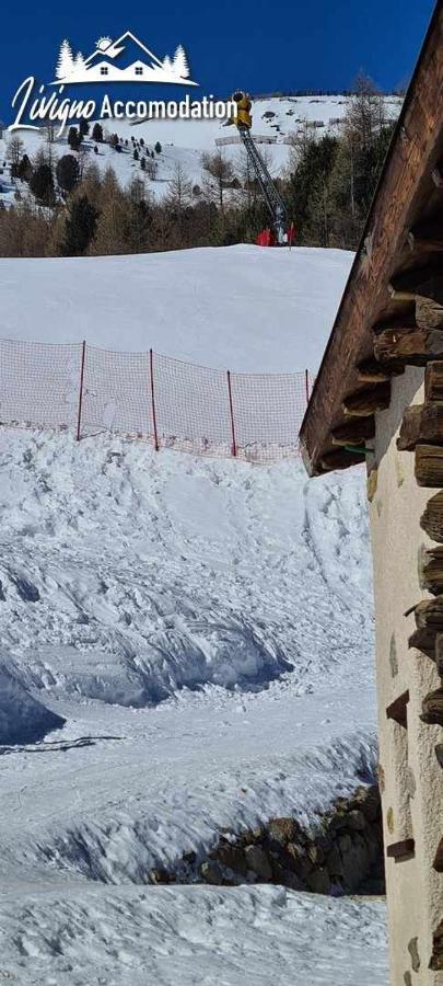 Mountain Chalet Scoiattolo By Livigno Accomodation Extérieur photo