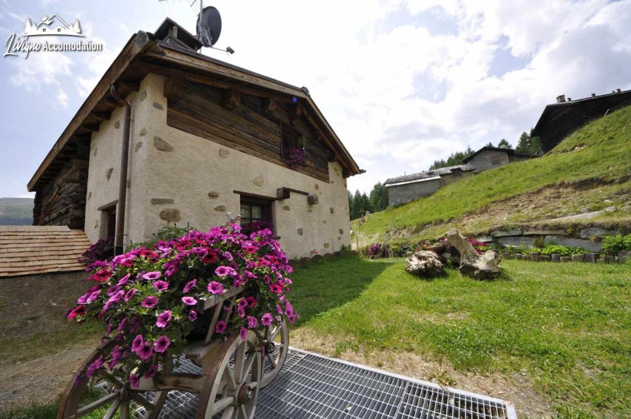 Mountain Chalet Scoiattolo By Livigno Accomodation Extérieur photo