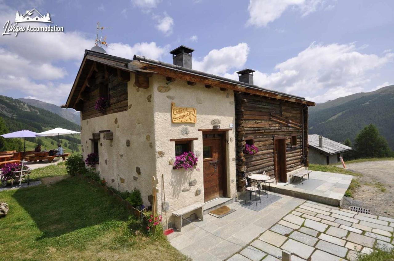 Mountain Chalet Scoiattolo By Livigno Accomodation Extérieur photo