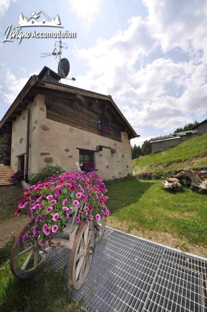 Mountain Chalet Scoiattolo By Livigno Accomodation Extérieur photo