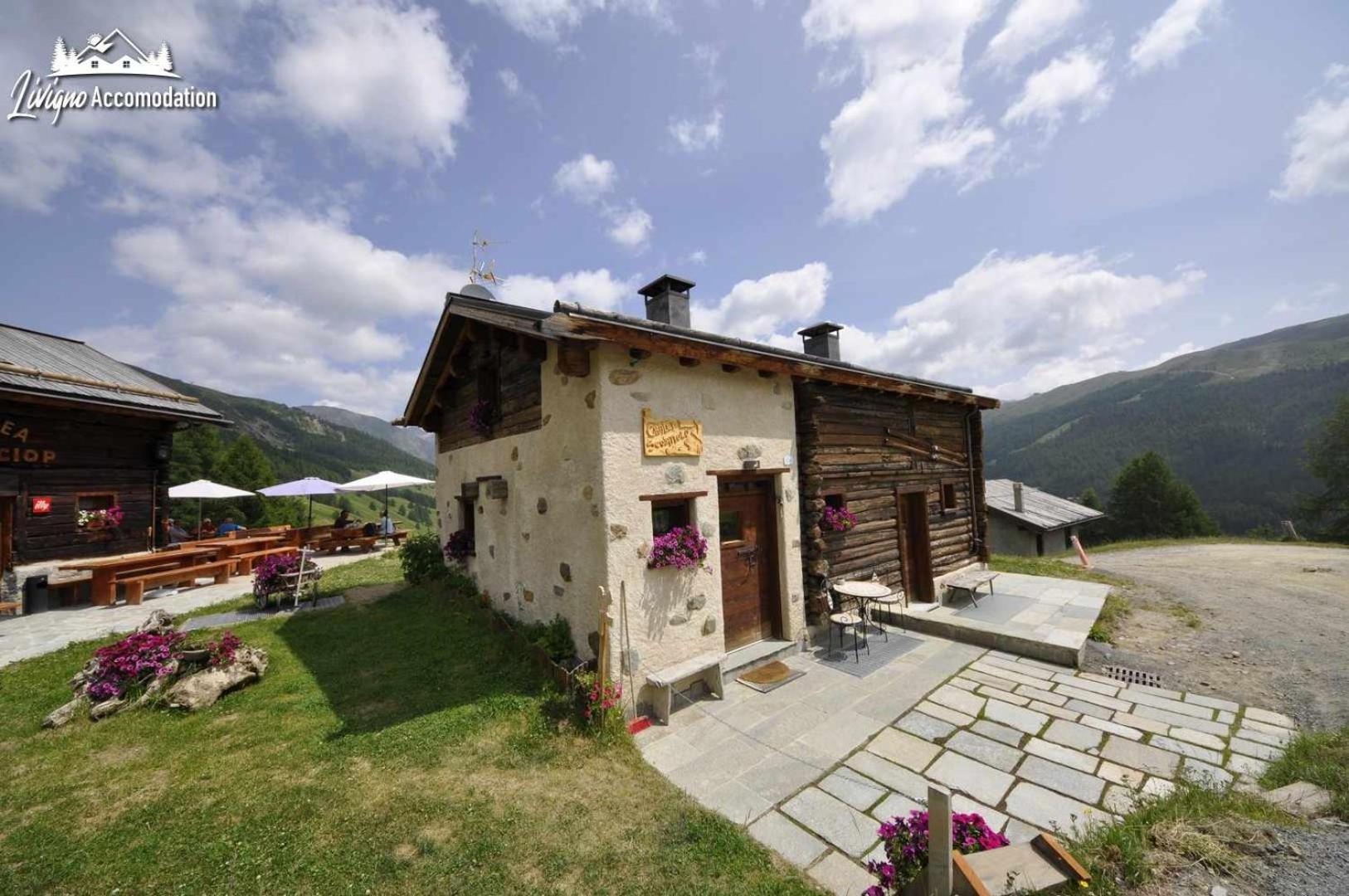 Mountain Chalet Scoiattolo By Livigno Accomodation Extérieur photo