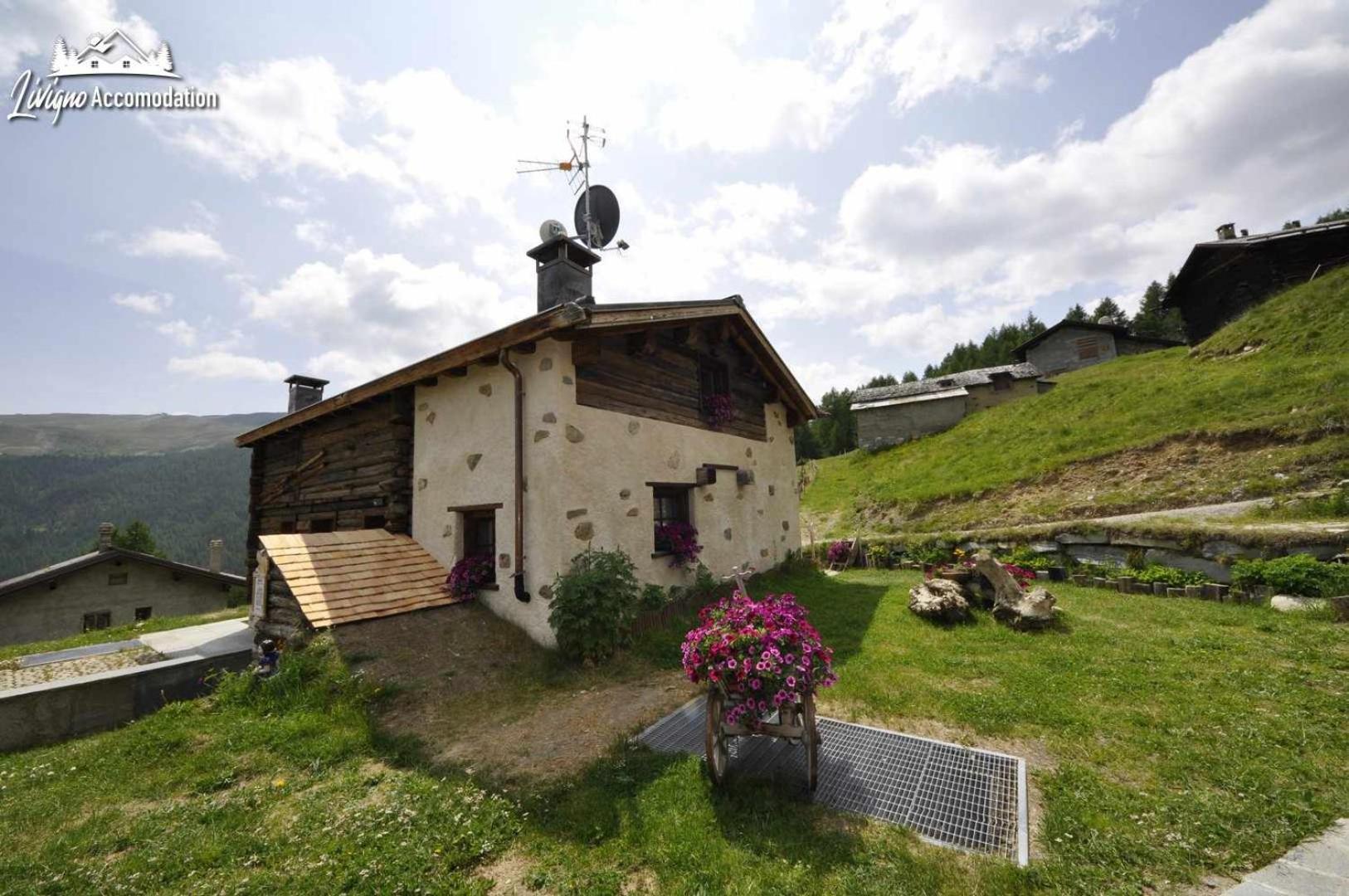 Mountain Chalet Scoiattolo By Livigno Accomodation Extérieur photo